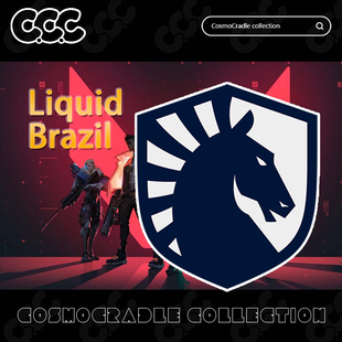 Liquid 战队队标 Brazil Champions VALORANT