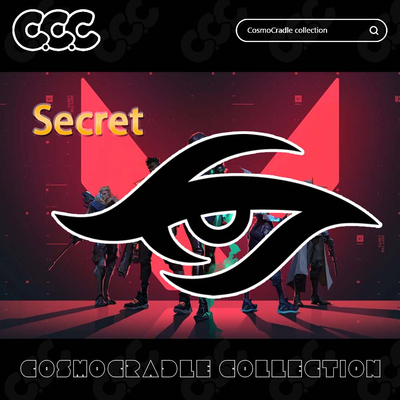 VALORANT Champions 战队队标  Secret