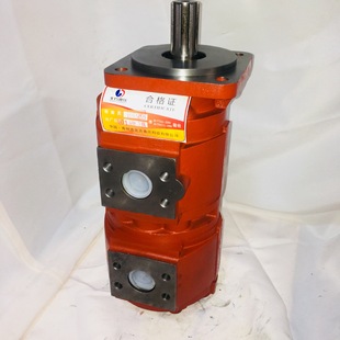 厂家供应CBGJ1025 液压齿轮泵 1010双联齿轮泵