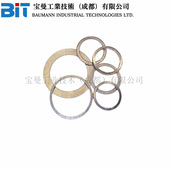 Fisher费希尔垫片组件16A1940X012密封圈O型圈阀门零件套件 包邮