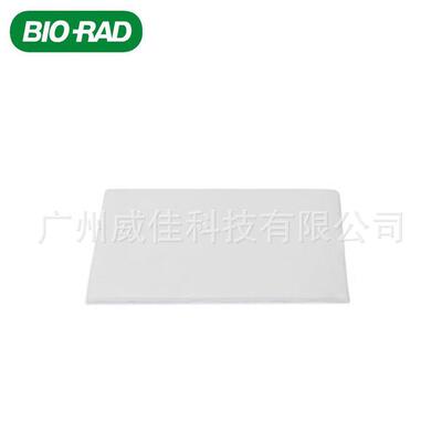 Bio-rad伯乐超厚转印滤纸7.5x10cm170396560片/包半干转
