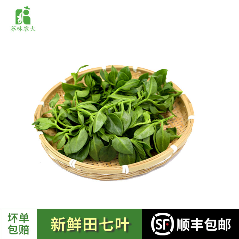 容大田七叶新鲜蔬菜田七菜三七叶子穿心菜凉拌沙拉菜食用现摘现发