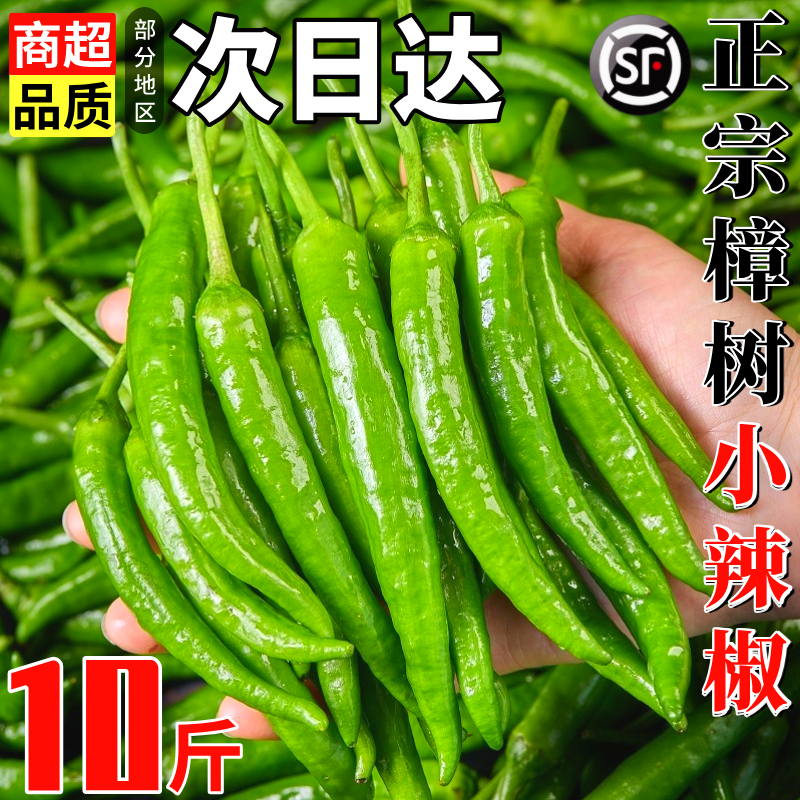 顺丰！樟树薄皮辣椒！A+级品质