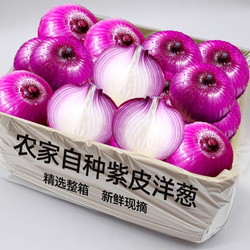 紫皮洋葱云南新鲜脆甜水果洋葱圆葱辛辣蔬菜红皮农家自种现挖元葱
