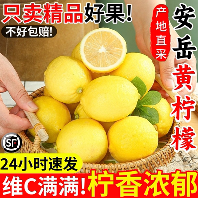四川安岳黄柠檬新鲜水果皮薄当季整箱精选香水甜青柠檬小金桔