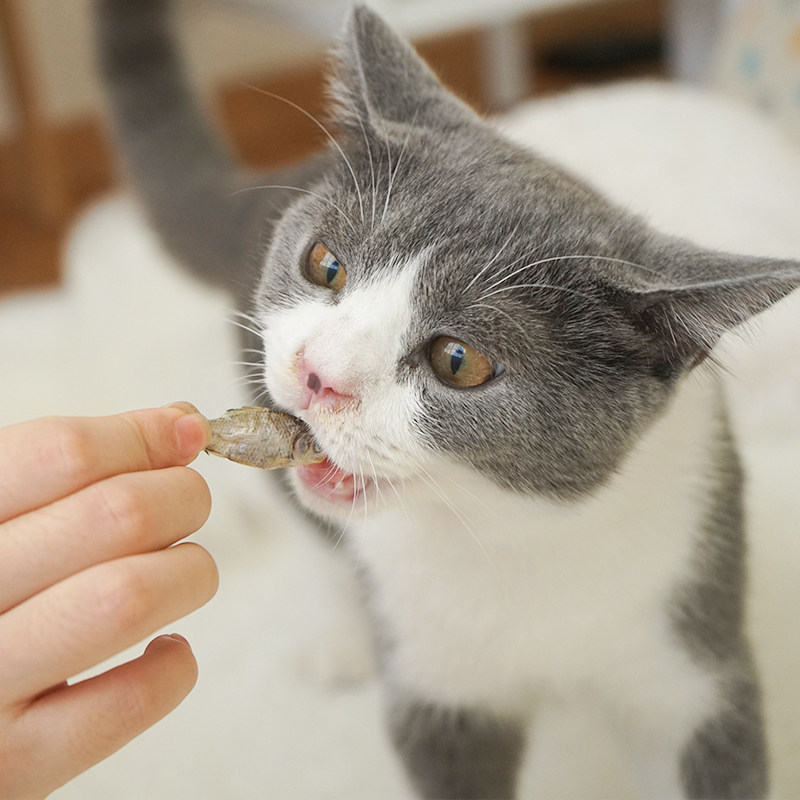 小鱼干猫零食幼猫咪增肥补钙天然晒干淡水鱼无盐粮食零嘴拌饭爱吃