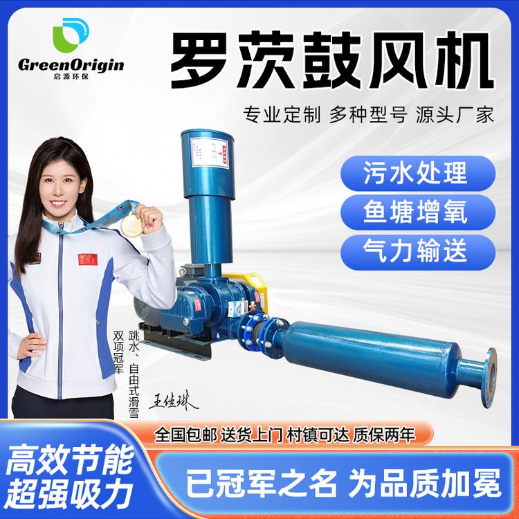 罗茨鼓风机污水处理高密度水产养殖曝气增氧气力输送罗茨鼓风机