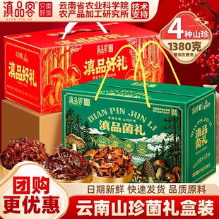 滇品客农科院云南油鸡枞菇礼盒松茸菌牛肝菌油炸菌年货走亲戚送礼