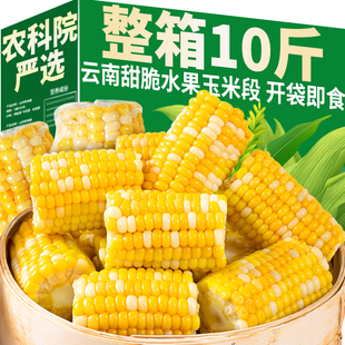 农科院5斤云南水果甜脆玉米段新鲜真空开袋即食学生宿舍早餐免煮