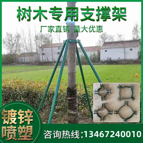 安阳树木支撑固定器铁抱箍镀锌烤漆钢管防风支伸缩杆绿化行道苗木