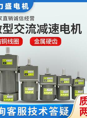 6W15W25W40W60W120W180W200W250W300W400W齿轮调定减速变频电机