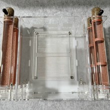 25口径6试管亚克力蚁巢 大活动区 混凝土试管巢无缝隙