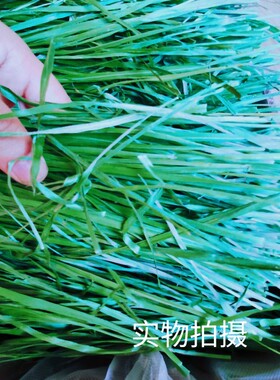 2022烘干头茬提摩西草段叶多兔子草料荷兰猪龙猫饲料干草北提1kg