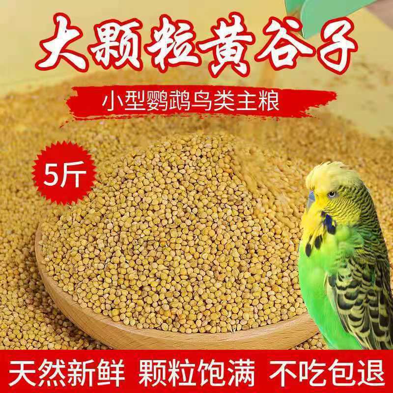 虎皮鹦鹉饲料鸟食玄凤谷子牡丹粮食文鸟带壳黄雀鸟粮