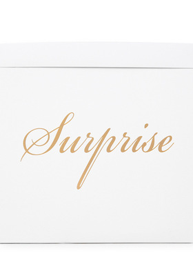 Surprise Box Confession Balloon Gift Box Birthday Surprise G