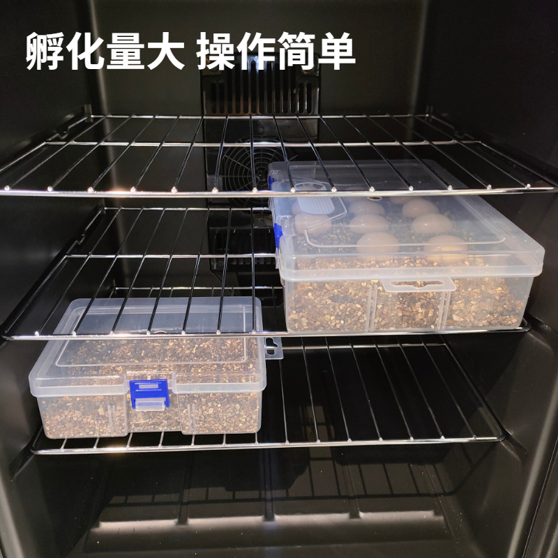 爬宠孵化盒守宫变色龙鬃狮玉米宠物爬虫乌龟蛋蜥蜴孵化器金黄蛭石