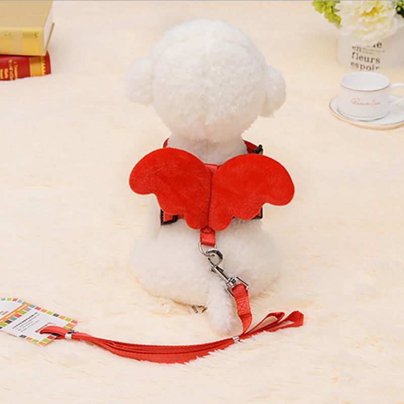 兔子牵引绳兔兔绳子用品衣服链子小宠物遛兔绳溜兔绳牵兔绳防挣脱