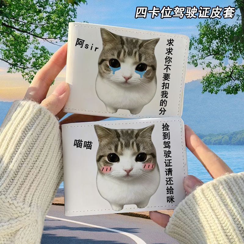 妙脆角小猫可爱搞怪驾驶
