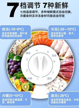 冰用柜商用冷柜小一级能效新款家冻冷藏冷冻量82429双温大容冷柜