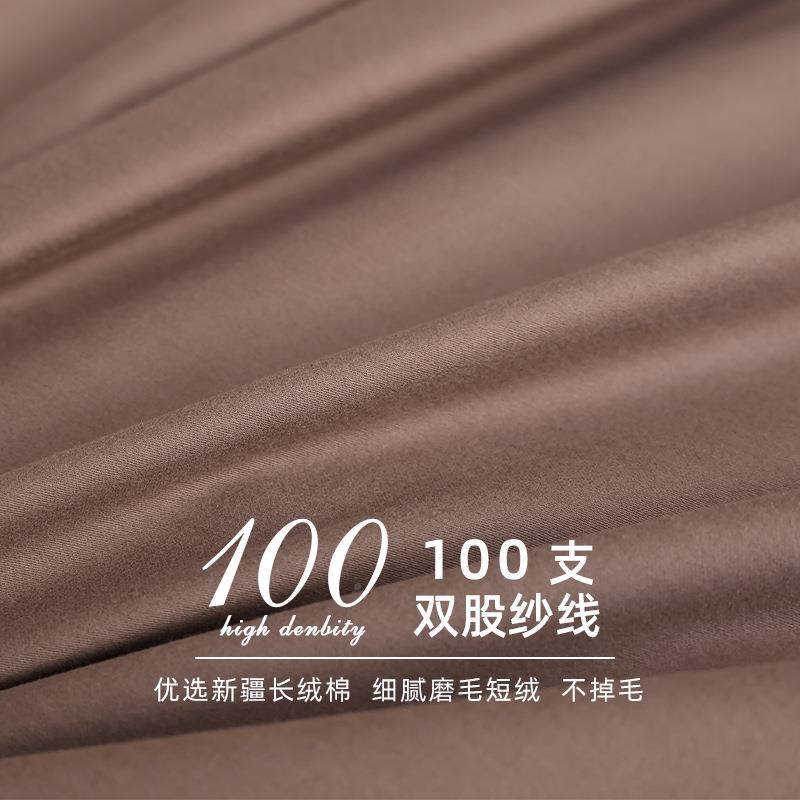 秋冬纯色1004支长棉全棉枕套一对装用纯棉加绒厚枕头rz套8cmx74家