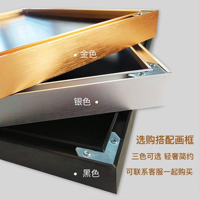 BK9钻新石画绣满钻小件珠绣客厅小花十字绣202K款带框OZZ简约现