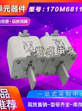 17伊0M6808170M809170M6810170M6811VKT顿熔断器6保险丝