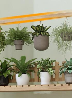 架多层实木质阳台花室内外61523绿萝厅吊客兰花盆置物盆架家用花