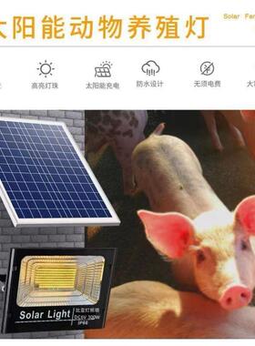 AL100590太阳能温加灯小鸡鸡育雏保温灯养场温控器芦丁自动控温殖