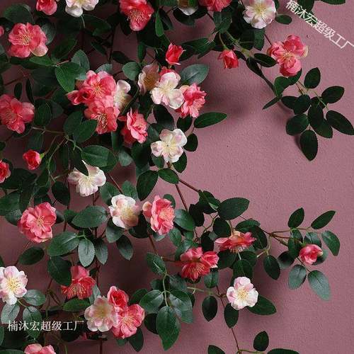仿真蔷薇花壁挂装饰绿阳植台墙面挂件遮壁饰意立创体丑高档