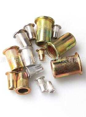 12300pcs铆螺母套装M~12拉帽平头柱M纹铆螺母直拉铆89690螺母厂家