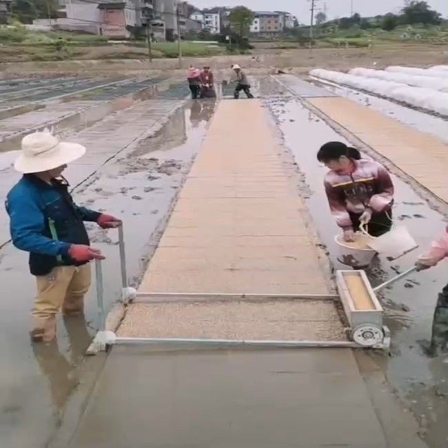 手推全自动水稻育秧播种机