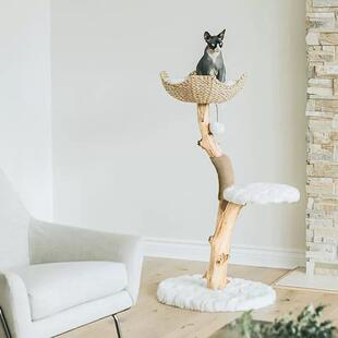 猫爬架实木手大工制作CQO原干树枝型精猫窝加木品大宠物树洞跳台