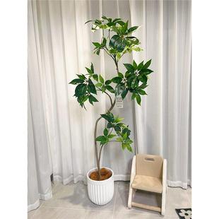 大叶内伞假HAIH0389仿真植室客厅高端轻奢风盆栽绿树大型落地植物