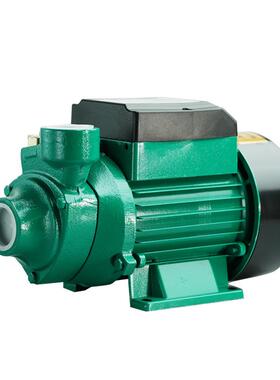 漩涡泵QB60直流泵48v