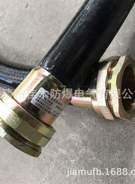 防爆挠性连接管BNG-1000*G21/2防爆等级ExdII