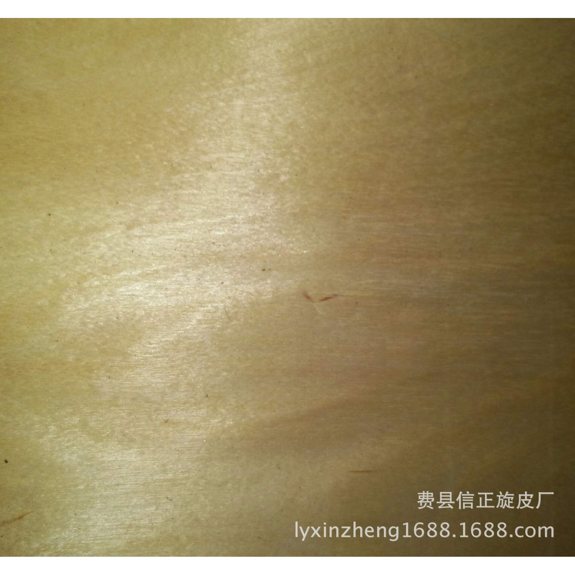 长期供应桦木旋切无蓝变家具板用面皮Birch