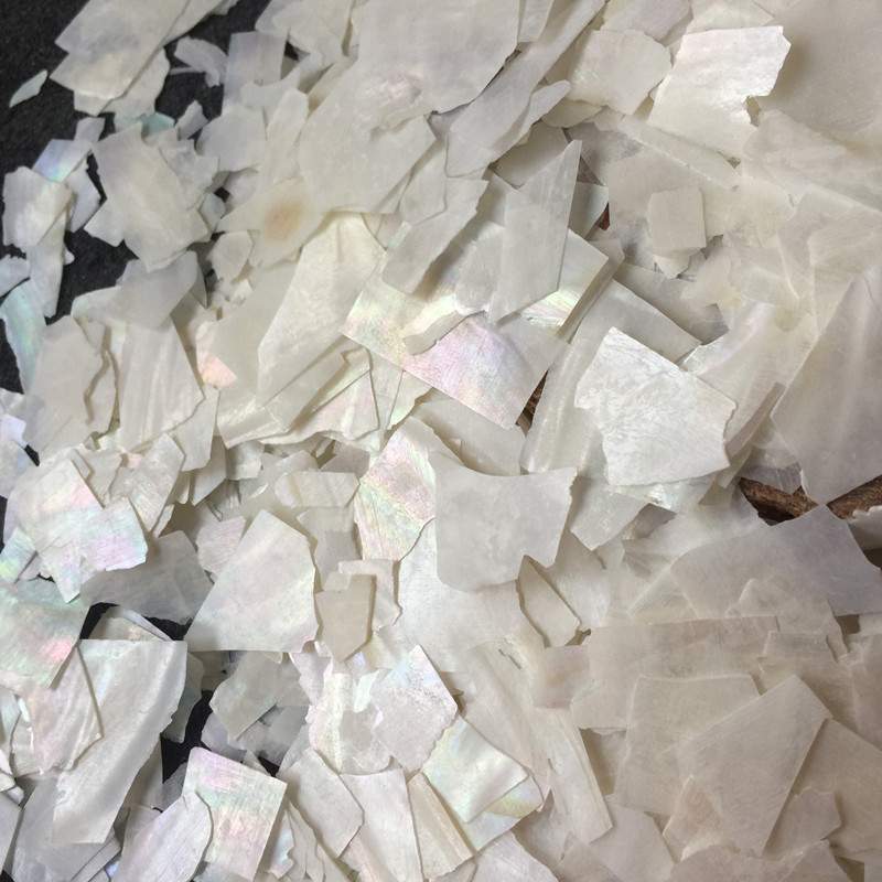 工厂白色淡水贝壳碎料薄片DIY工艺饰品创意螺钿美甲装饰材料