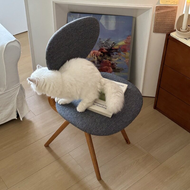 Chea wea小众设计家用实木餐椅高背餐厅软包椅子坐感舒适学习椅