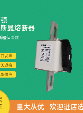全新快速熔断器保险170M5738 170M5739 170M5740 170M5741