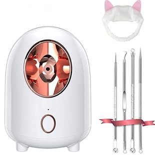 Facial Steamer  QIENSLY 240ML Nano Ionic Face Steamer for Ho