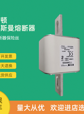 全新快速熔断器保险170M6699 170M6700 170M6701 170M6708