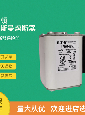 全新快速熔断器保险170M4965 170M4966 170M4967 170M4968