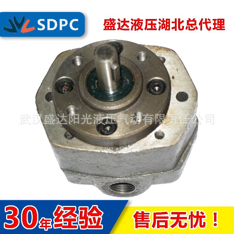 佳宇西安BB-B16BB-B20/B25摆线齿轮油泵内啮合滤油车润滑泵