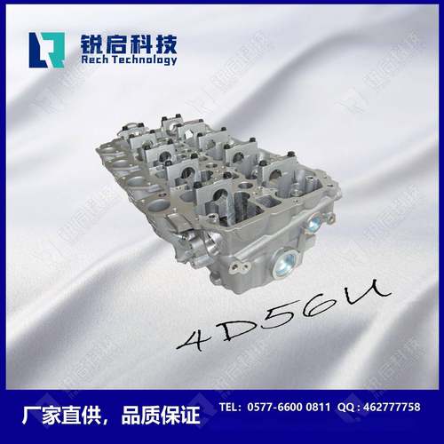 4D56U2.5DIDL200气缸盖1005A5601005B45290851916V