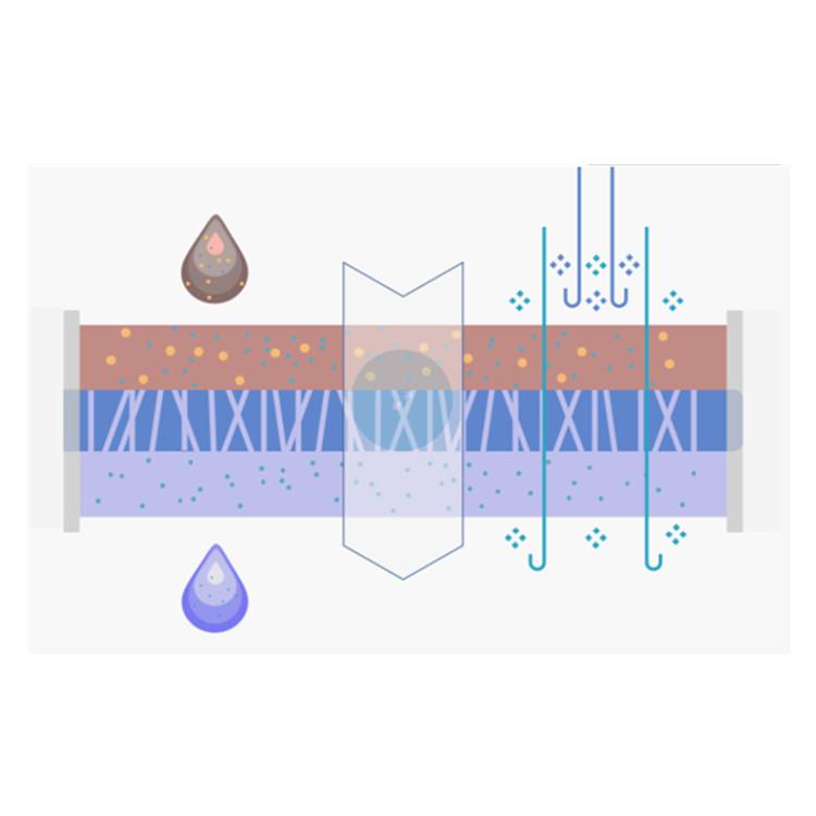 IT4IP核孔膜在诱导脂质囊泡膜融合和细胞内递送的应用研究