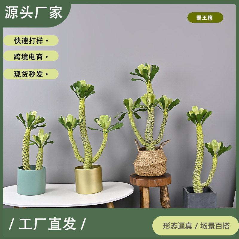 仿真霸王鞭沙生植物仙人掌沙漠造景绿植软装样板间商场橱窗霸王鞭