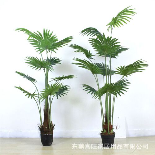 北欧风仿真植物盆栽蒲葵假绿植圆扇葵盆景室内外落地Z装饰唐棕葵