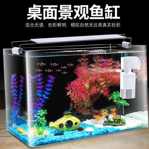 鱼缸小型热弯g透明客厅阳台桌面造景水族家用金鱼斗鱼玻璃中型鱼