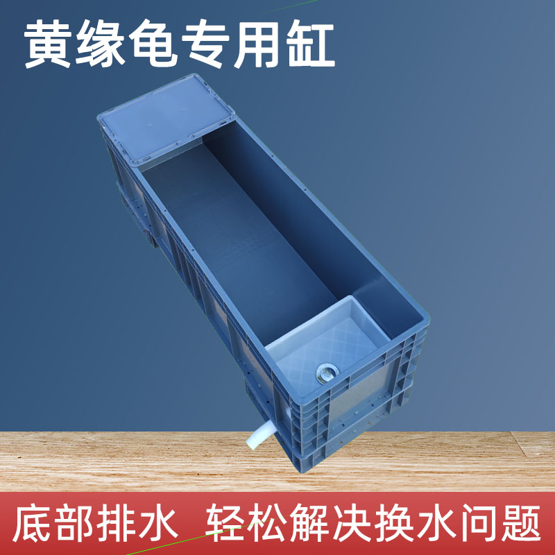 黄缘龟专用缸半水龟饲养箱生态缸龟箱池周转箱安缘龟造景专用水盆