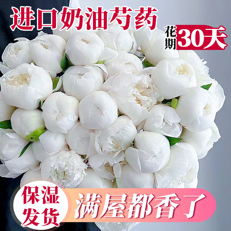 好货奶油碗芍药鲜花进口落日珊瑚重瓣鲜切花束室内客厅植物插花卉图片
